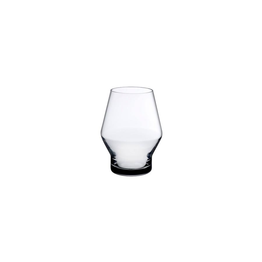 Beak Tumbler Set of 2- Clear 350cc
