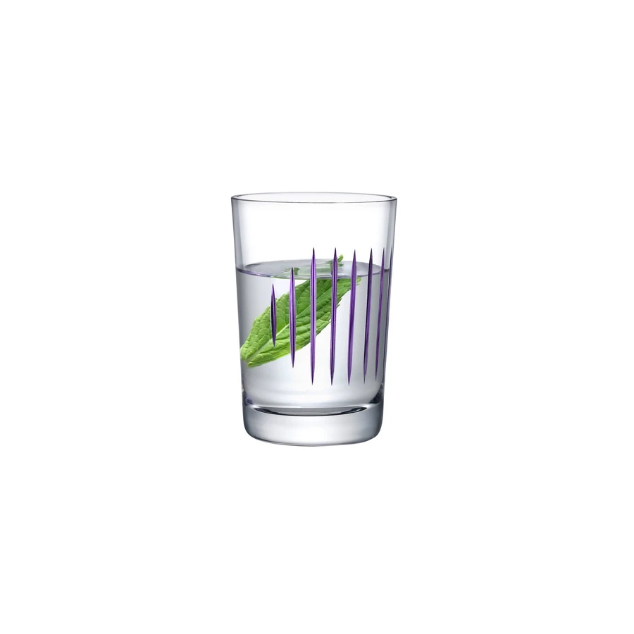 Parrot Set of 2 Water Glass-Clear
