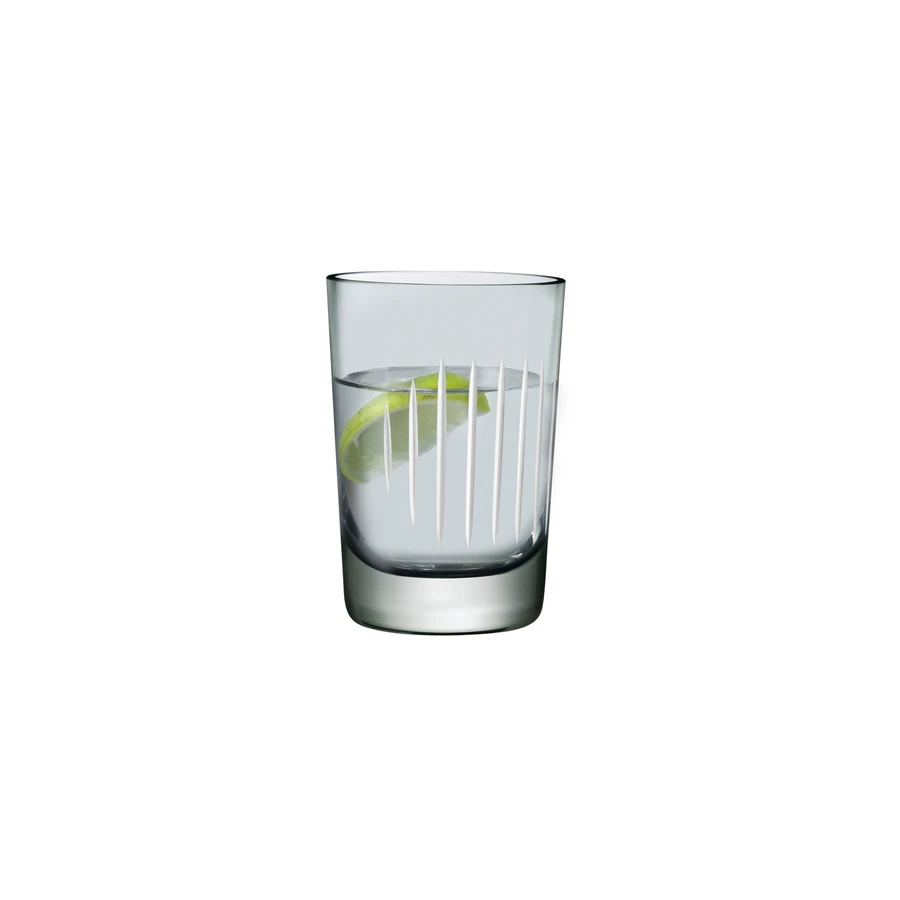 Parrot Set of 2 Water Glasss-Smoke